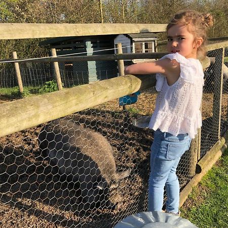 Willow Court Farm Studio East & Petting Farm, 8 Mins To Legoland & Windsor, 15 Mins To Lapland Uk Exterior photo