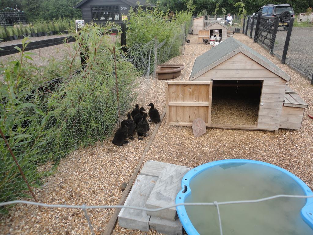 Willow Court Farm Studio East & Petting Farm, 8 Mins To Legoland & Windsor, 15 Mins To Lapland Uk Exterior photo