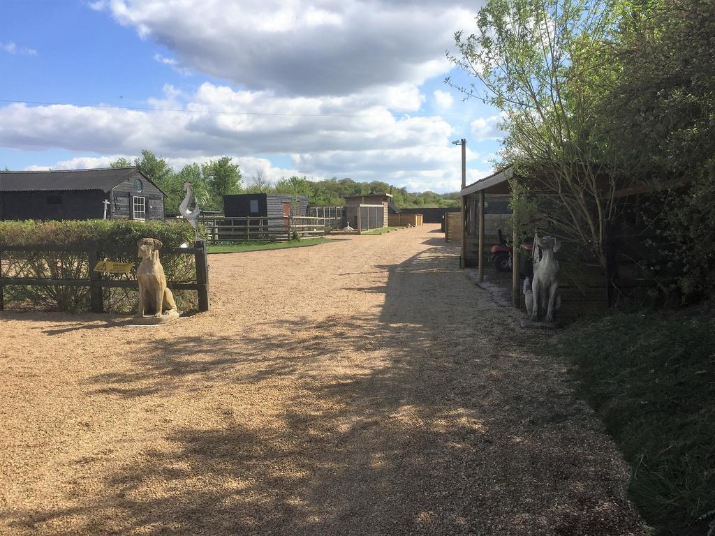 Willow Court Farm Studio East & Petting Farm, 8 Mins To Legoland & Windsor, 15 Mins To Lapland Uk Exterior photo
