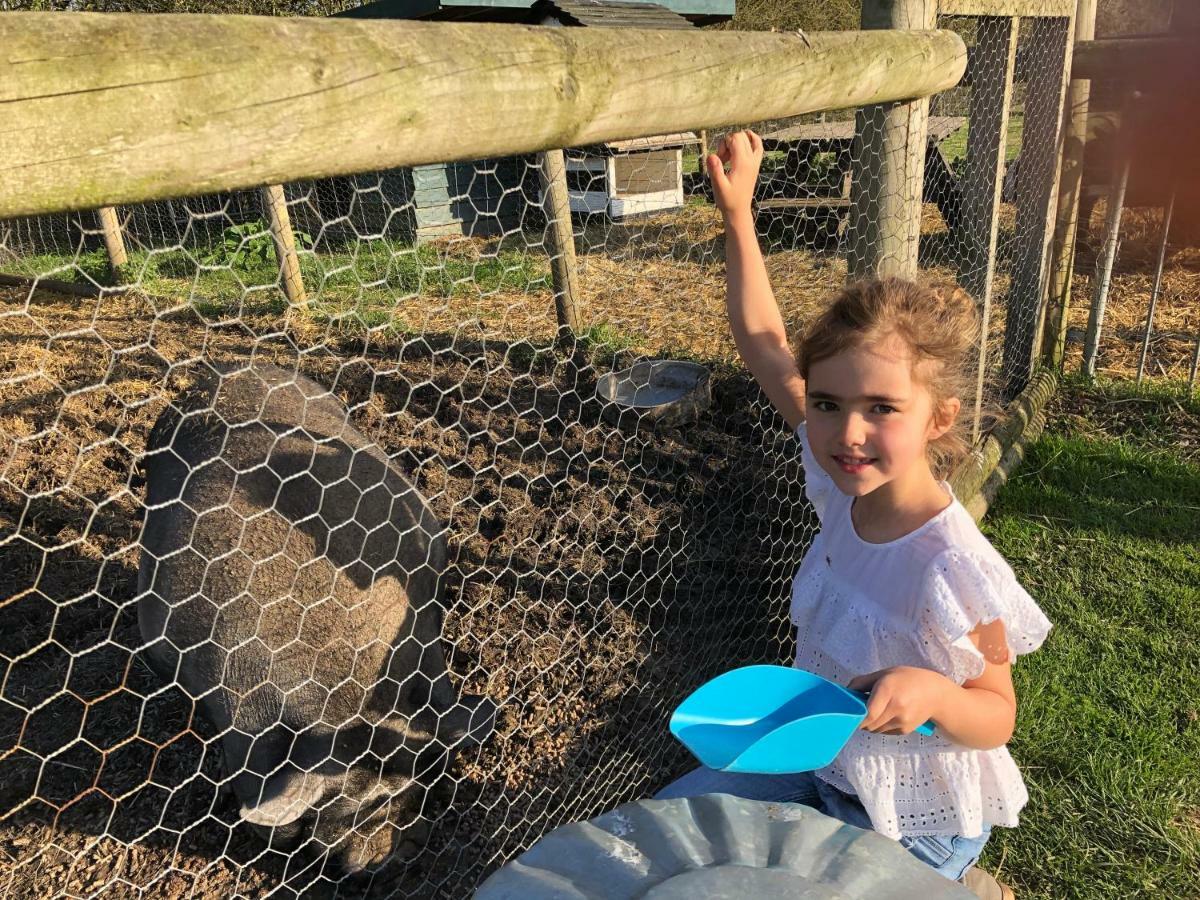 Willow Court Farm Studio East & Petting Farm, 8 Mins To Legoland & Windsor, 15 Mins To Lapland Uk Exterior photo